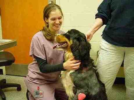 {short description of image}