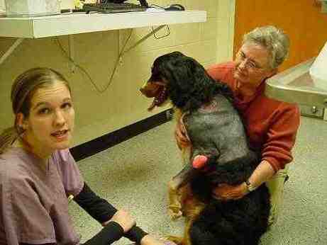 {short description of image}