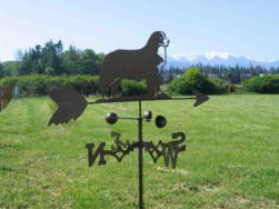 {short description of image}