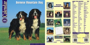 {short description of image}