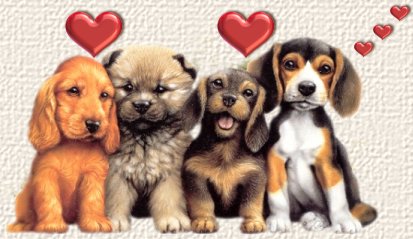 Canine Protection Coalition CPC