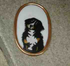 {short description of image}