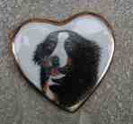 {short description of image}