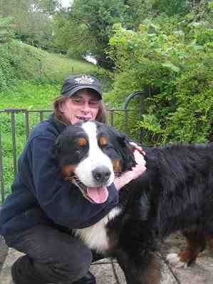 {short description of image}