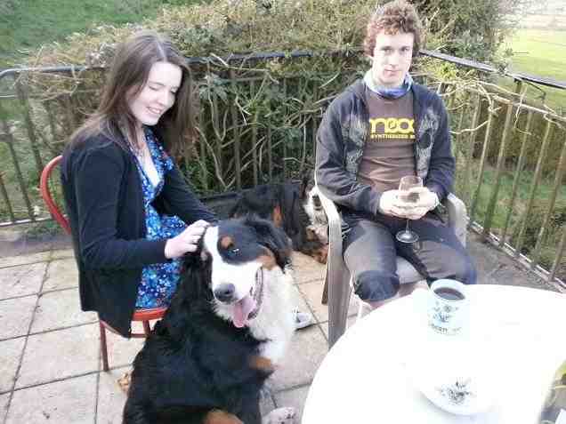 {short description of image}