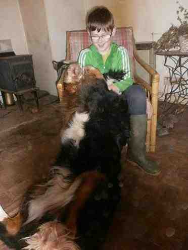 {short description of image}