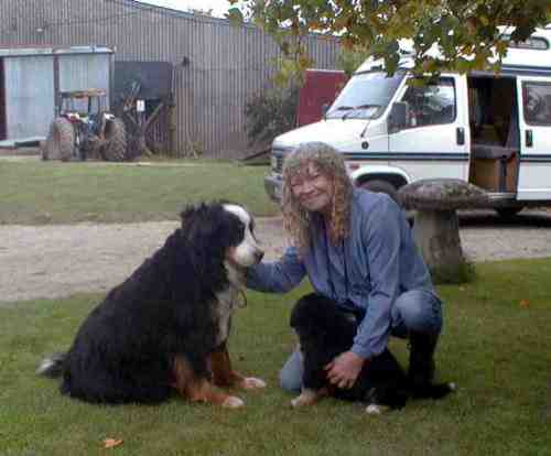 {short description of image}