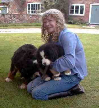 {short description of image}