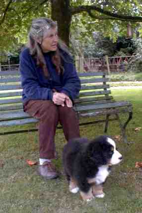 {short description of image}