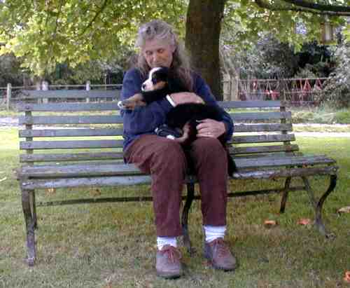 {short description of image}