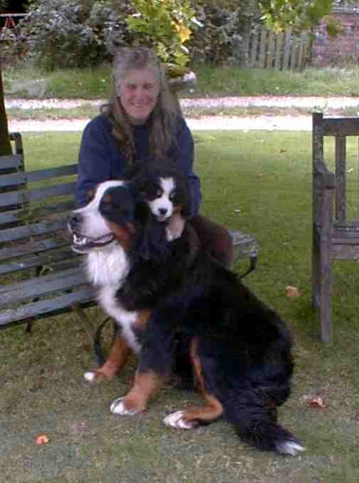 {short description of image}