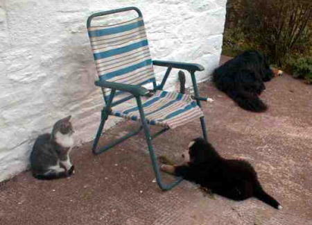 {short description of image}