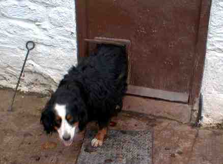 Nearly there, Sunny!