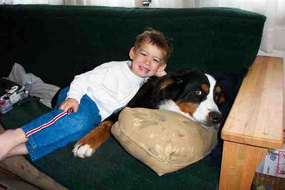 {short description of image}