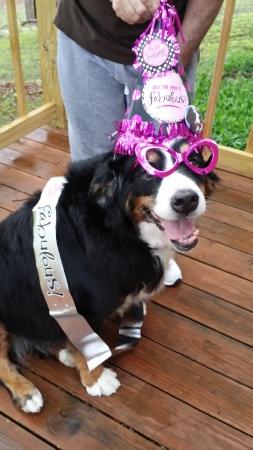 {short description of image}