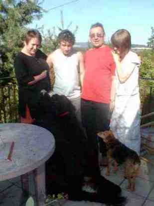 {short description of image}