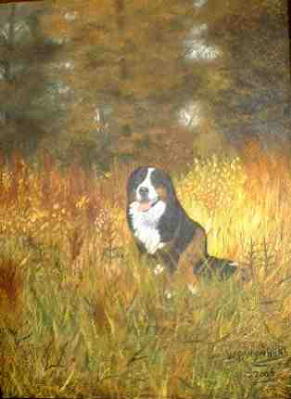 This is me in the meadow, by Will