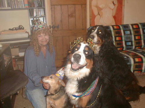 Birthday Dogs