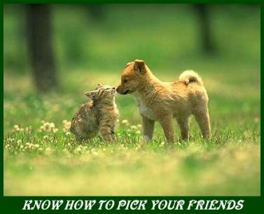 {short description of image}