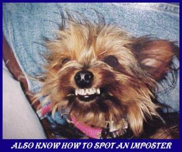 {short description of image}