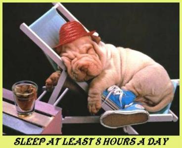 {short description of image}