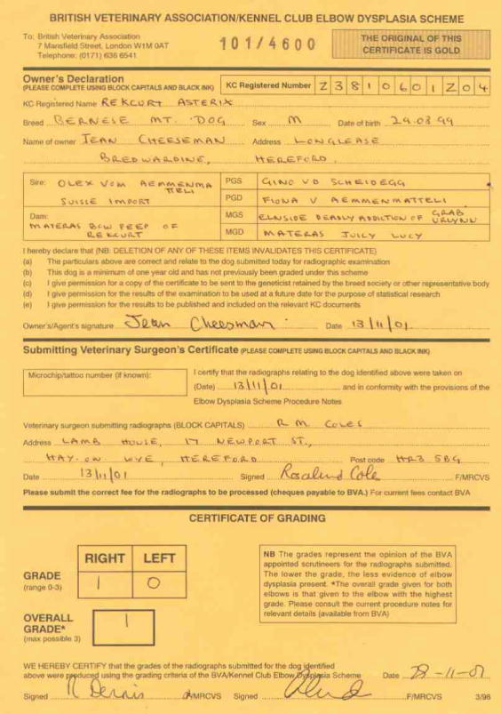 score re. elbow dysplasia