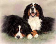 BMD Pair