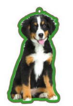 Bernese Air Freshener