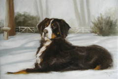 Berner Boy, Brew, by Genevieve Fine Art