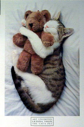 I love my teddy.