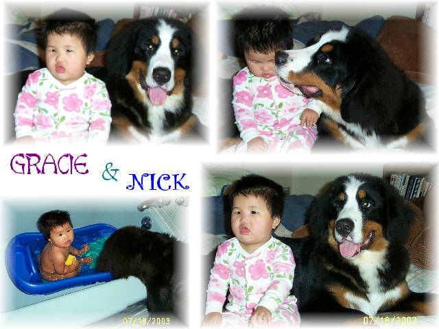 Gracie and Berner, Pup, Nick Neff