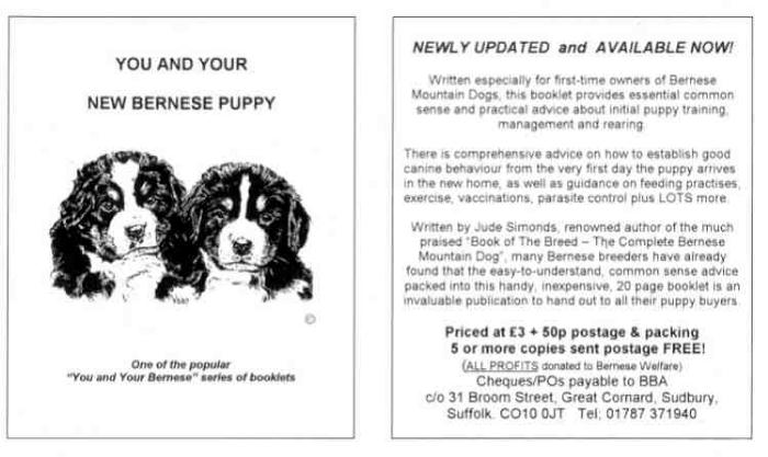 You and your new Bernese Mountain Dog Puppy