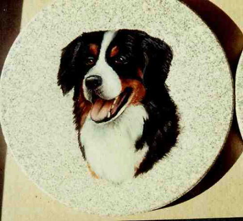 BMD Coaster Close Up