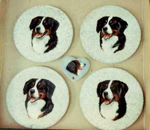 Bernese Coasters