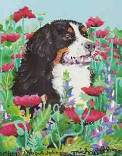 Cabot, all grown up!