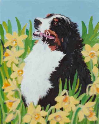 Cabot in the Daffodils