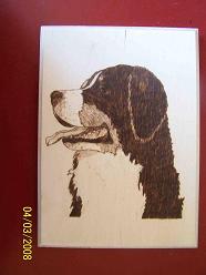 For the BMDCA Health Fund Auction 2008