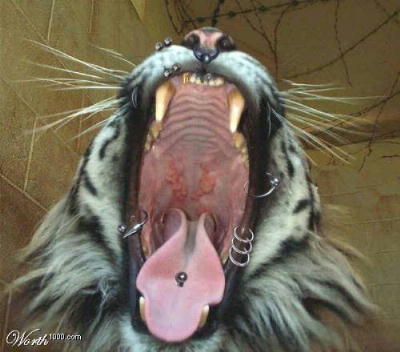 Big yawn!!