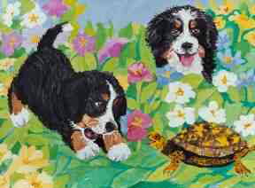 Berner Meets Turtke!