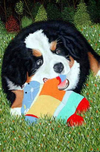 Bernese Puppy with fluffy toy