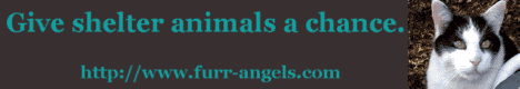 furr-angels banner