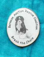 BARC pin!
