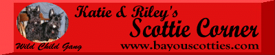 Katie and Riley's Website