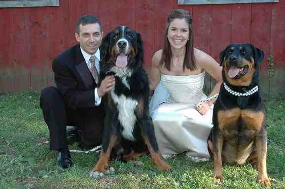 {short description of image}