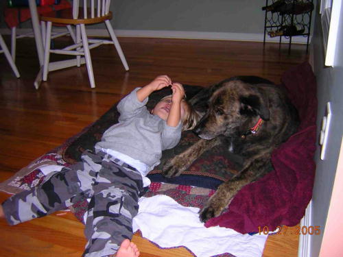 Bailey, sadly lost to histiocytosis