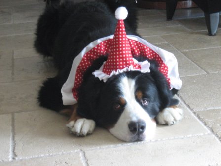 {short description of image}