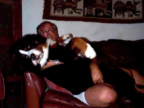 {short description of image}