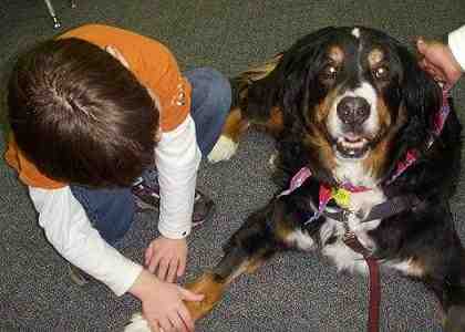 {short description of image}