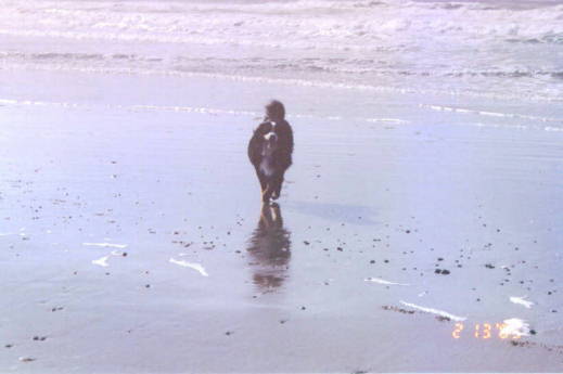 Kricket, so sadly lost to MH