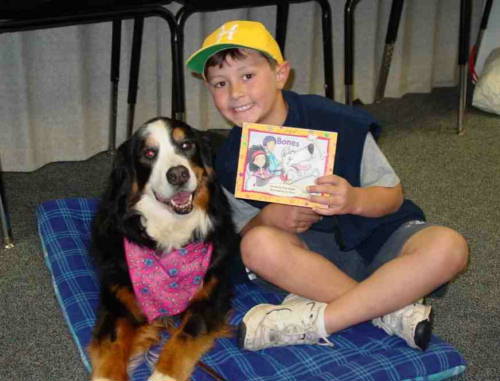 {short description of image}